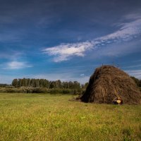 Август :: Евгения Каравашкина