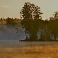 Утро с туманом :: Юрий Цыплятников