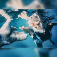 Diving :: Андрей Копанев
