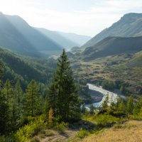 В долине реки Чуи :: Наталья Карышева