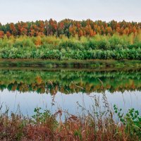 Август в отражениях. :: Elena Izotova