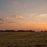 в поле после заката :: Александр С.