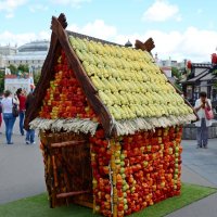 Овощной домик :: Александр Шихин