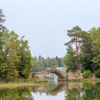 Старое парковое озеро :: Николай Николенко