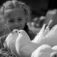 Девочка и голуби :: Анастасия Смирнова