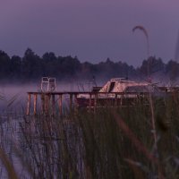 Рассвет на берегу Виесите (Латвия) во время фестиваля FotoFest-2015 21-23. Августа 2015 :: Jevgenija St