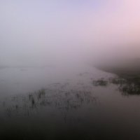 Розовый туман над речкой проплывает ... :: Мила Бовкун