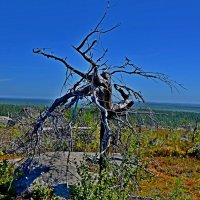 гора Воттоваара :: Александр Шихин