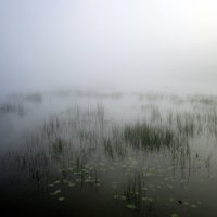 Река в тумане . :: Мила Бовкун