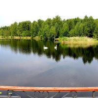 На озере. :: Борис Митрохин