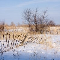 первые проталины :: надёнка 