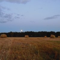 Сумерки над полем. :: Людмила Ларина