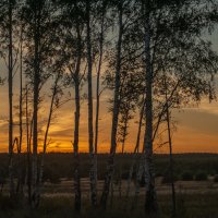 закат солнца :: Евгения Комарова