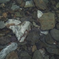 Камни Телецкого озера :: Надежда 