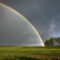 Летний этюд :: Валентин Котляров