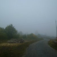 Утро. Туман на въезде в деревню. :: Николай Туркин 