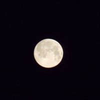 Луна :: Виктория Павлинова