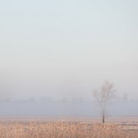 Туман ... :: Vadim77755 Коркин