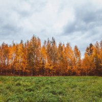 Осень :: Иван Архипов