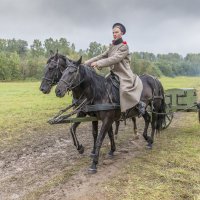 Серия. Недаром помнит вся Россия Про день Бородина! :: Борис Гольдберг