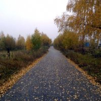 Осенняя дорога :: Николай Туркин 