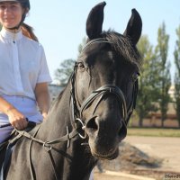 Ты сними меня, фотограф! :: Виктор Марченко