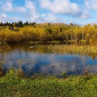Осень на леcном озере. :: Валерий Молоток
