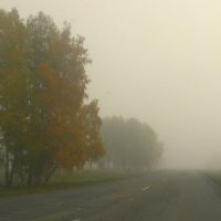 Осенний туман. :: nadyasilyuk Вознюк