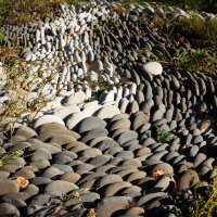 stones :: Zinovi Seniak