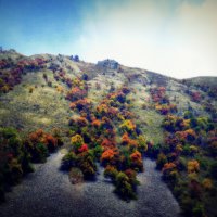 Осень в горах I :: Alexei Kopeliovich