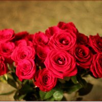 Дурманящий запах роз :: Лидия (naum.lidiya)