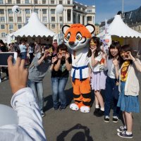 Во Владивостоке прошел 16-й ежегодный "День тигра" :: Sofia Rakitskaia