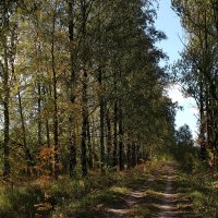 Осенний день :: Наталья Лунева 