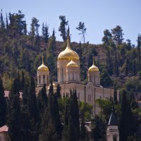 Церковь православного Горненского женского монастыря. Иерусалим. :: Алла Шапошникова