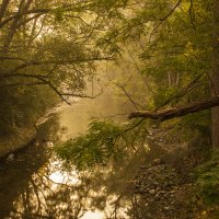 Тихая речка (Etobicoke creek) :: Vladimir K
