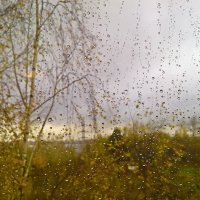 За окном осенний дождь. :: Любовь Чунарёва