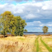 Урочище Бардицы, бывший выселок Хомутово :: Николай Дементьев 