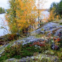 СЕНТЯБРЬ В КАРЕЛИИ :: Николай Гренков