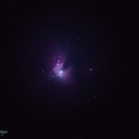 M42 туманность Ориона :: Михаил Леонтьев