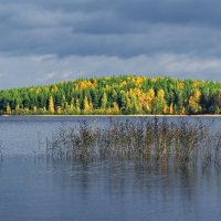 Про осень... :: Александр Буланов