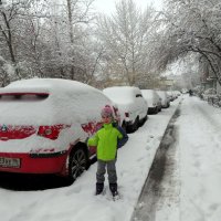 Второй день валит снег! :: Елизавета Успенская