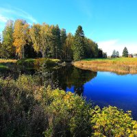 Пейзаж :: Александр 