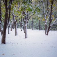 Первый снег :: Фатхутдинов Алик 