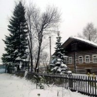 Зима пришла в деревню утром 9 октября... :: Николай Туркин 