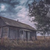 ЗАБРОШЕНЫЙ ХУТОР :: Алексей Фотограф Михайловка