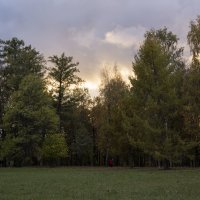 В осеннем парке :: Aнна Зарубина