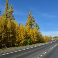 Осень на перевале :: юрий Амосов