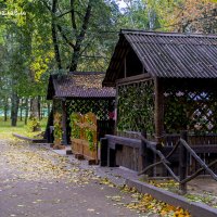 Осенний парк :: Павел Данилевский