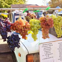 Ярмарка винограда в Шахтах :: Владимир Болдырев
