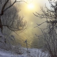 Туманное утро. :: Андрей Романов